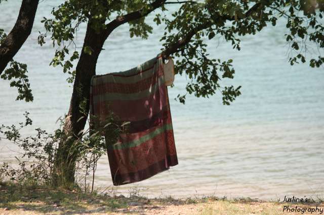 Ipiccy 165 - Serviette sur un arbre au bord du lac